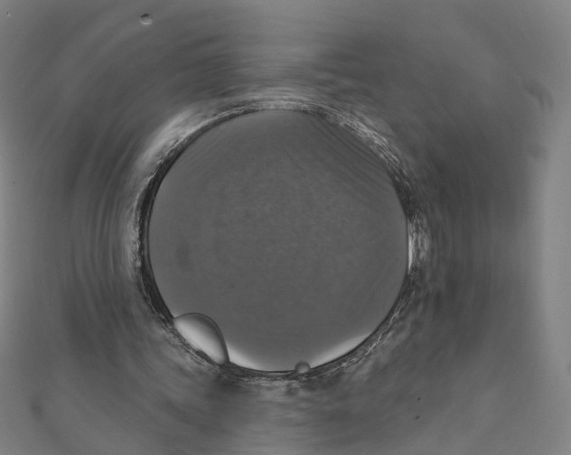 X0000111800339200908201158