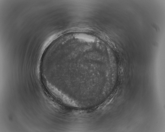 X0000111800340200908201158