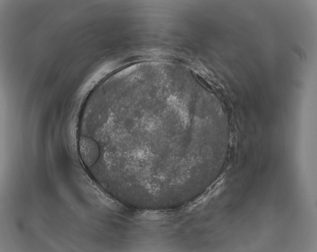 X0000111800341200908201158
