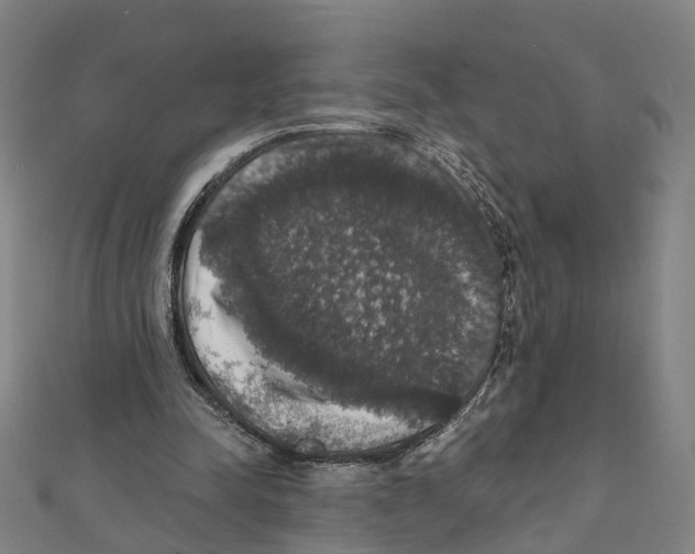 X0000111800342200908201158