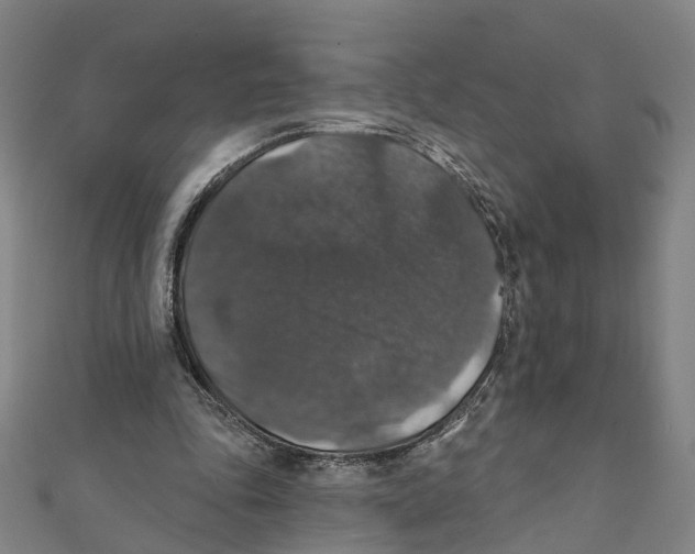 X0000111800343200908201158
