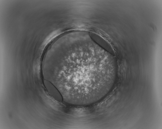 X0000111800344200908201158