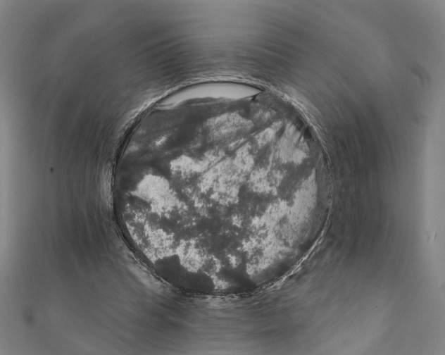 X0000111800345200908201158