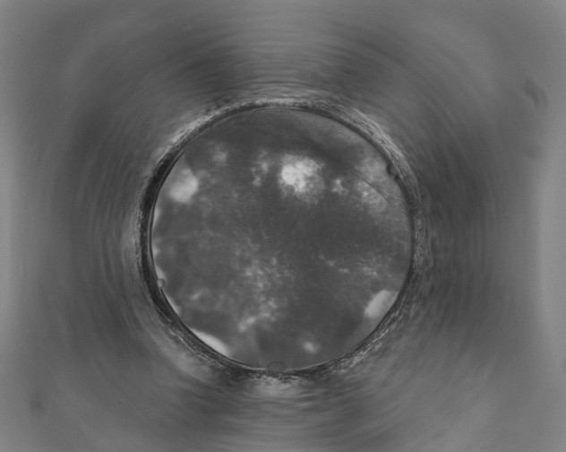 X0000111800346200908201158