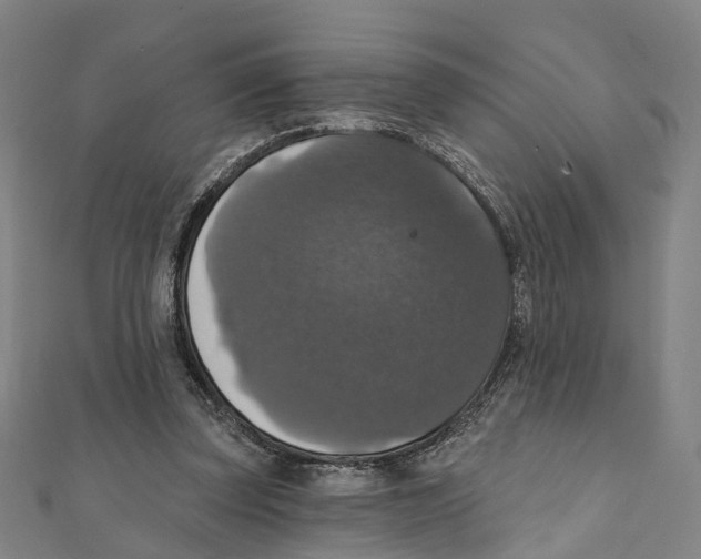 X0000111800347200908201158
