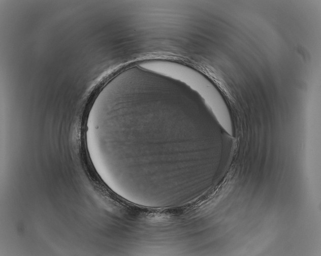 X0000111800348200908201158