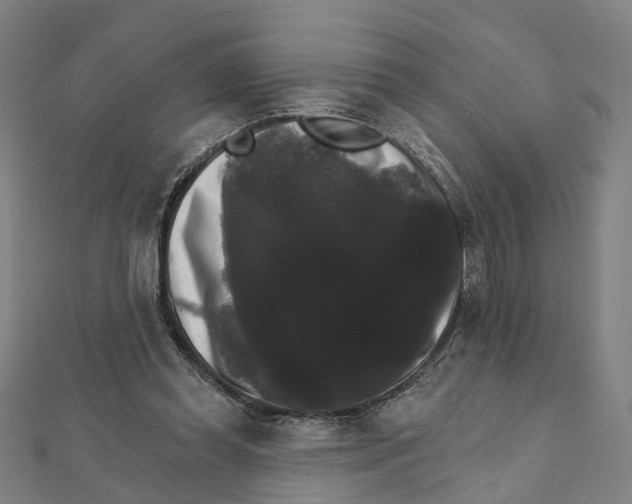 X0000111800349200908201158
