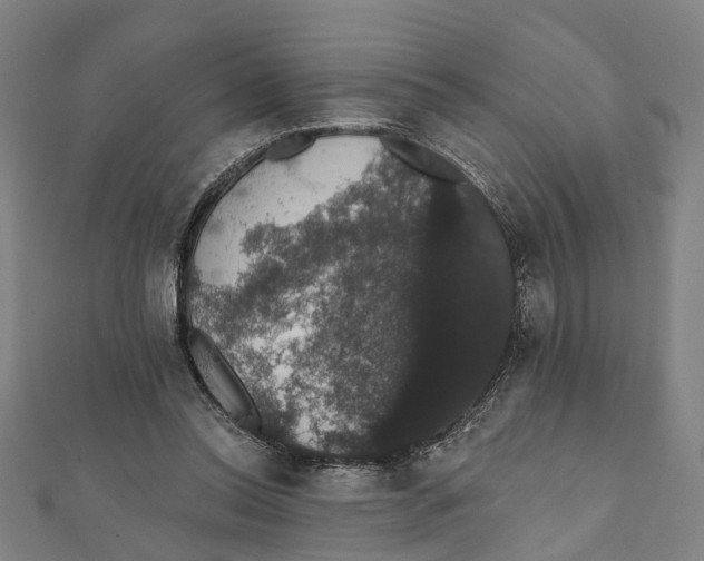 X0000111800350200908201158