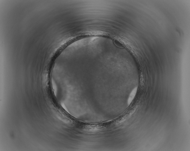 X0000111800351200908201158