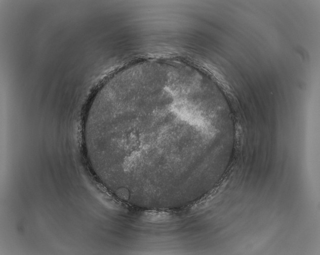 X0000111800354200908201158