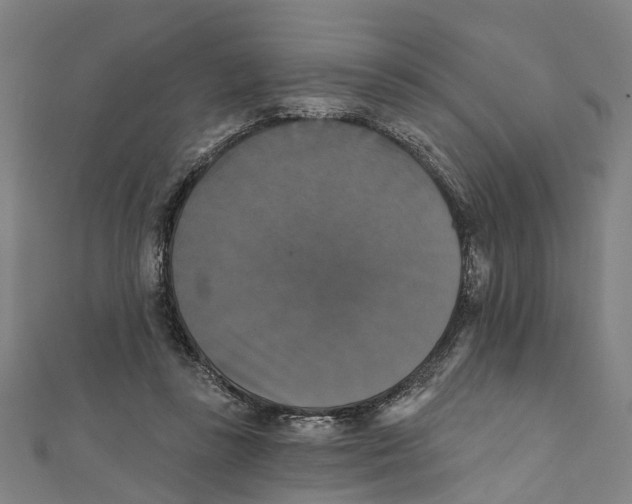 X0000111800355200908201158
