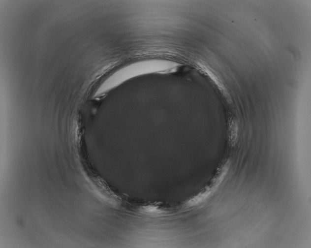 X0000111800356200908201158