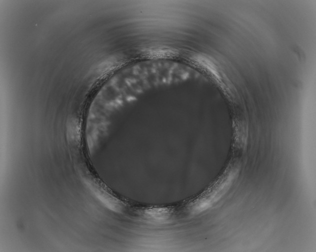 X0000111800357200908201158