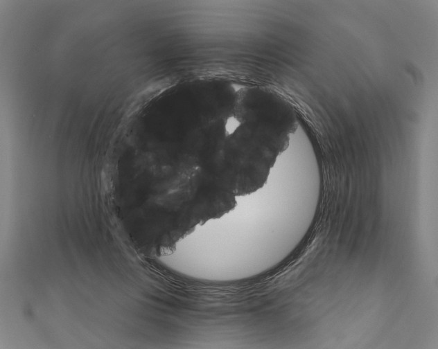 X0000111800359200908201158