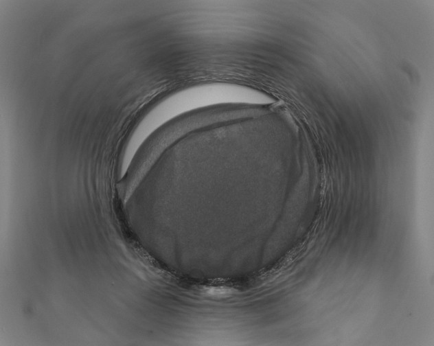 X0000111800360200908201158