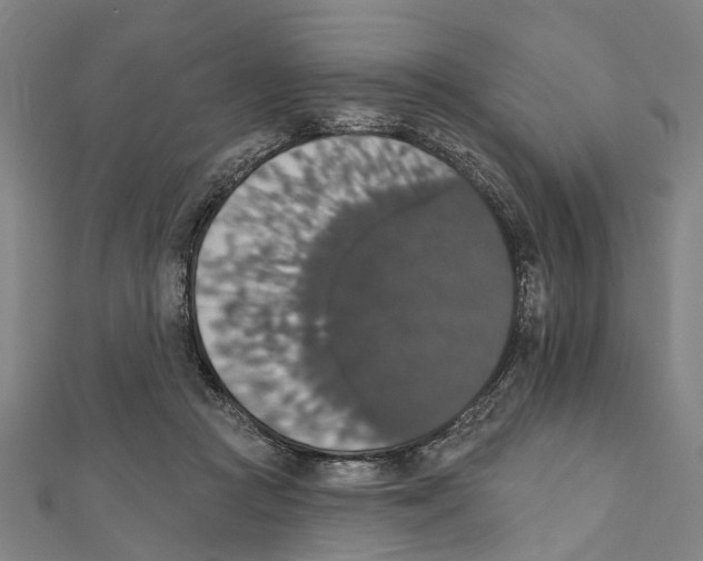 X0000111800361200908201158
