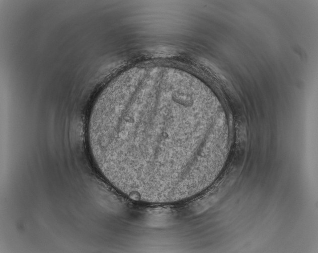 X0000111800362200908201158
