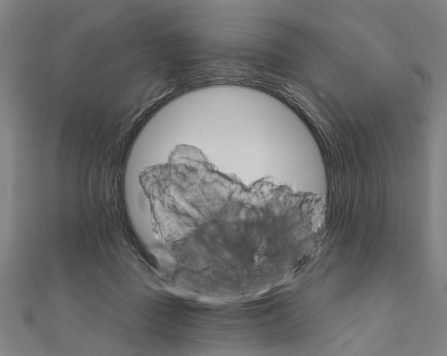 X0000111800363200908201158