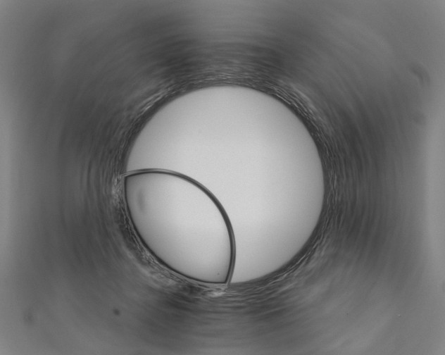X0000111800364200908201158