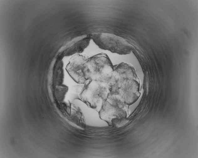 X0000111800365200908201158