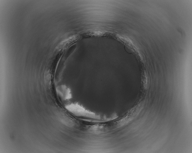 X0000111800366200908201158