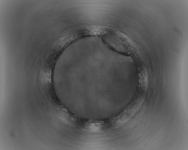 X0000111800368200908201158