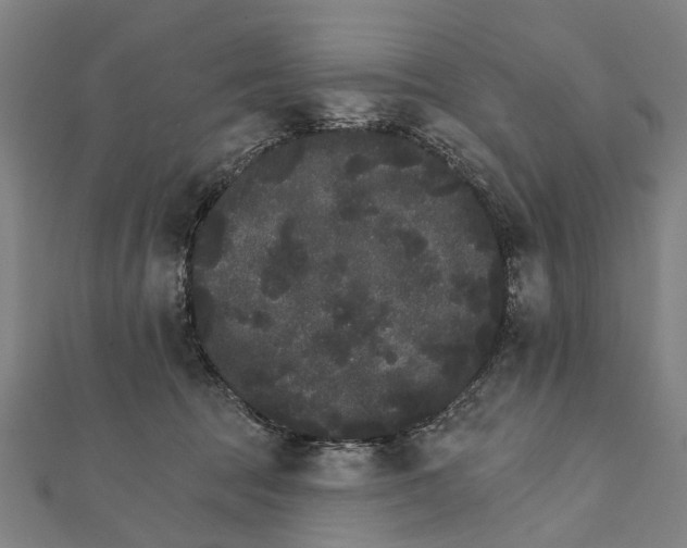X0000111800369200908201158