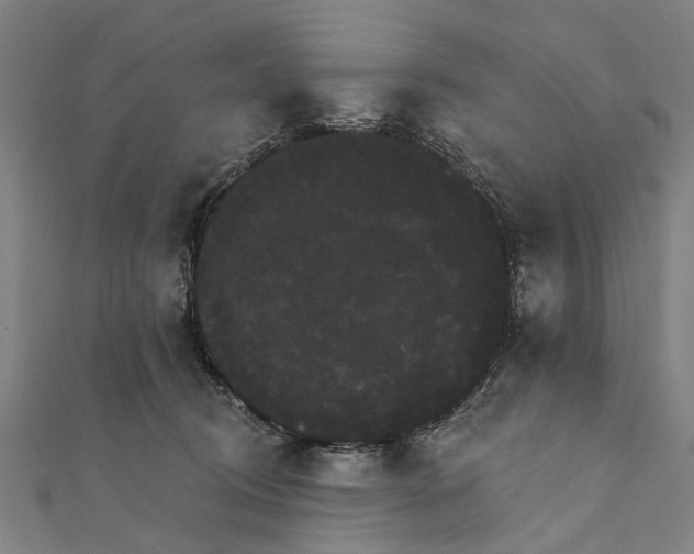 X0000111800370200908201158