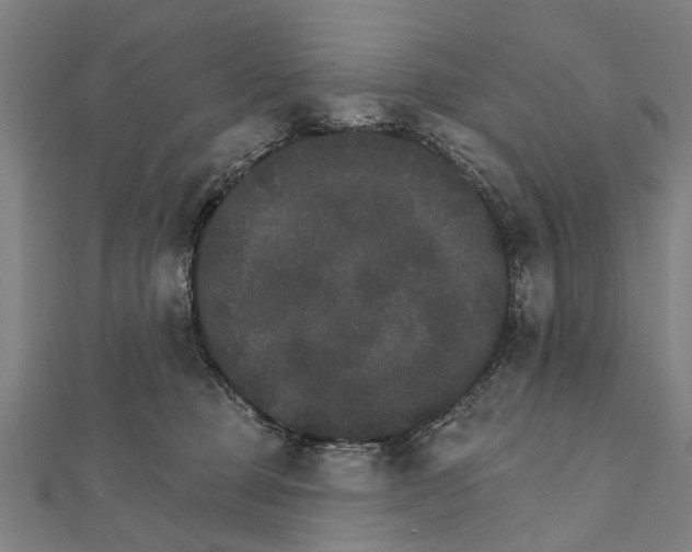 X0000111800373200908201158