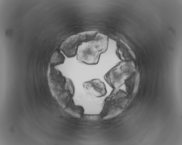 X0000111800377200908201158