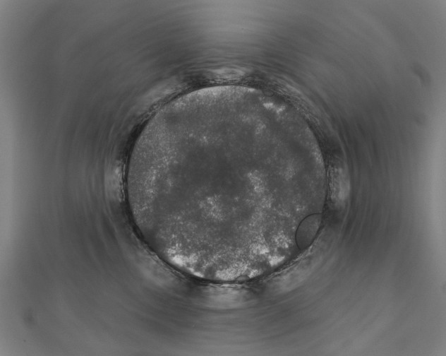 X0000111800378200908201158