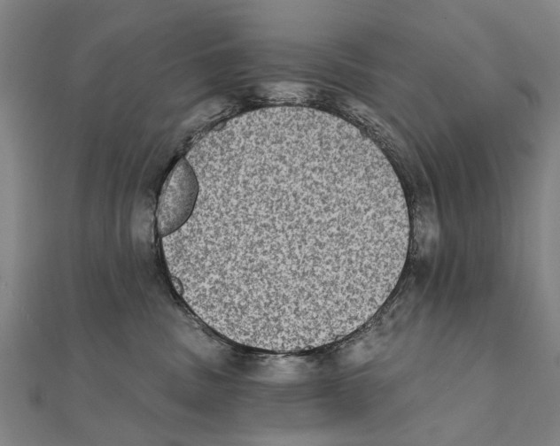 X0000111800379200908201158