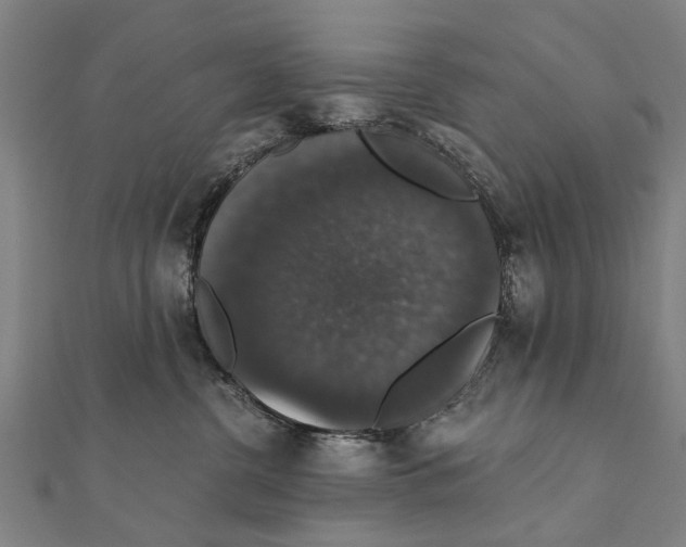 X0000111800380200908201158