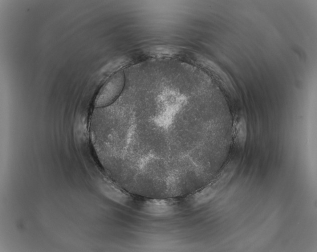 X0000111800381200908201158