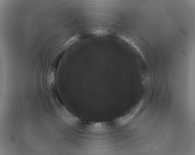 X0000111800382200908201158