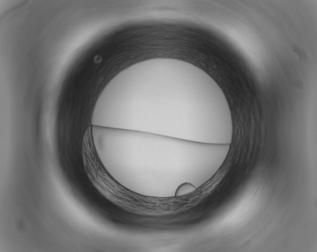 X0000111800383200908201158
