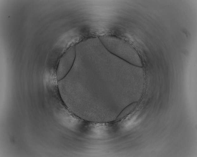 X0000111800384200908201158