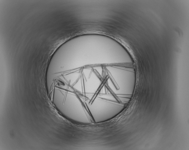 X0000111800385200908201158