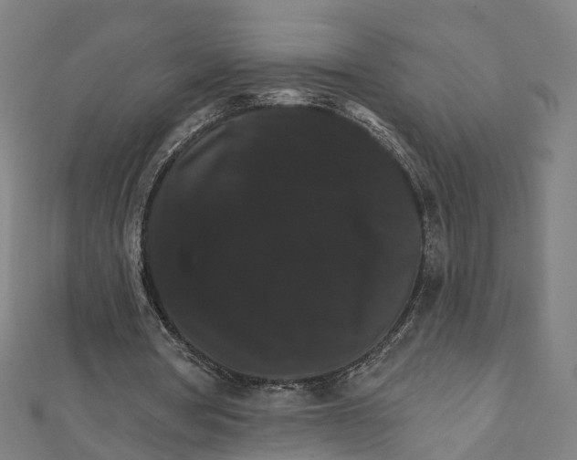 X0000111800386200908201158