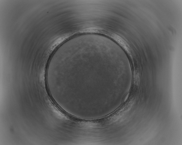 X0000111800389200908201158