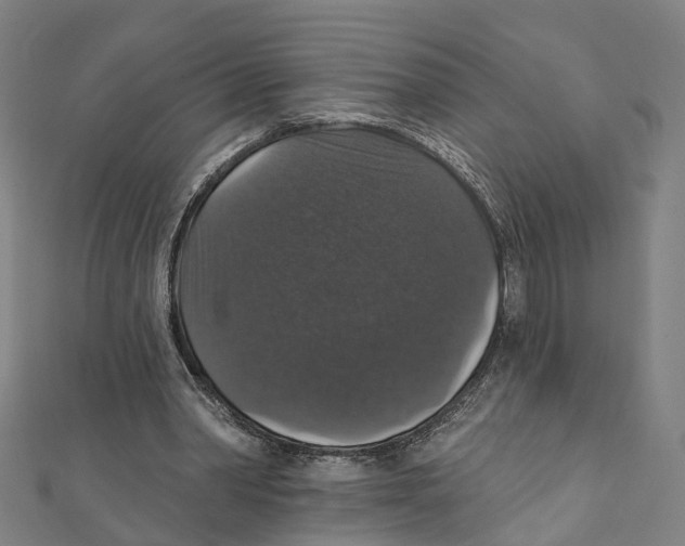 X0000111800390200908201158