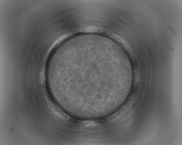 X0000111800392200908201158