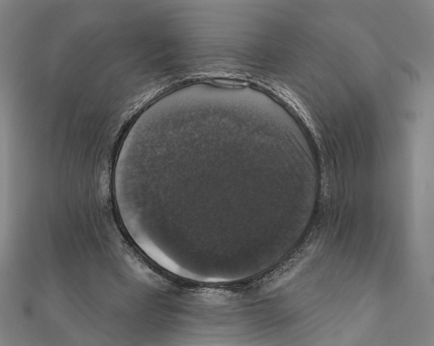 X0000111800393200908201158
