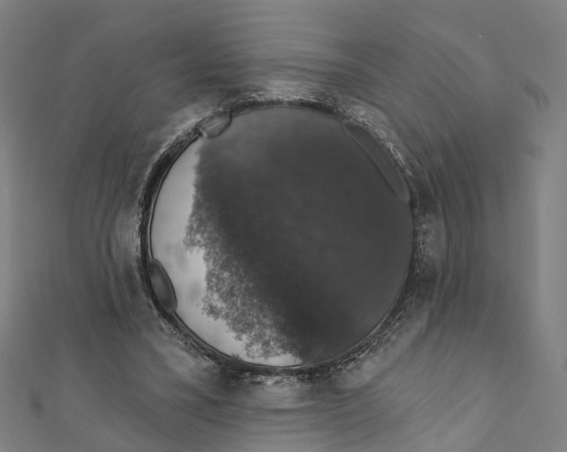 X0000111800395200908201158
