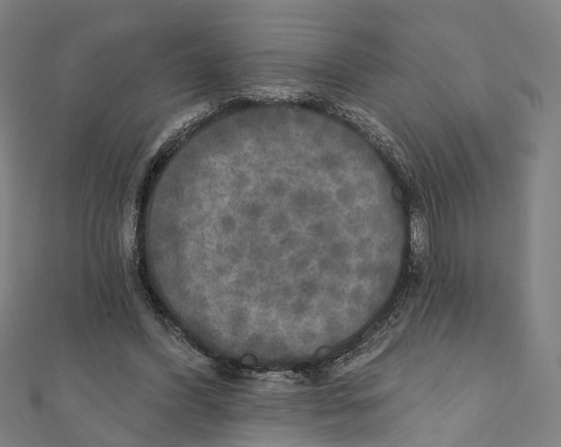 X0000111800396200908201158