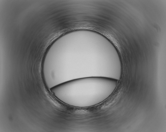 X0000111800397200908201158