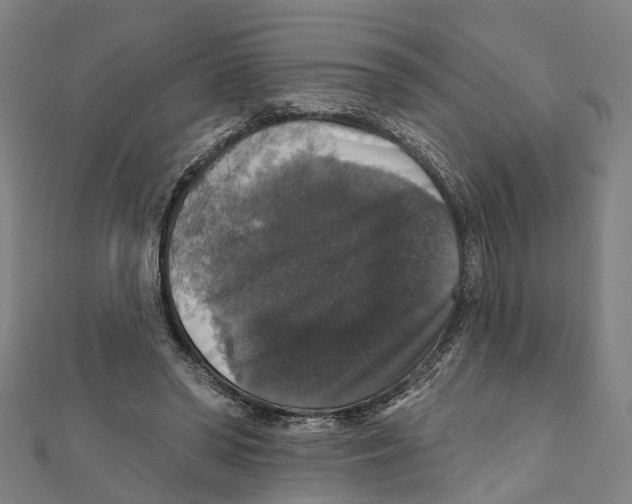 X0000111800398200908201158