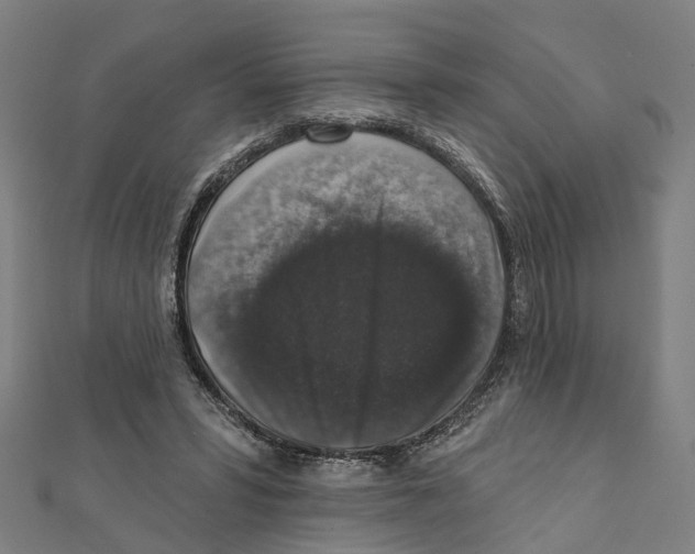 X0000111800399200908201158