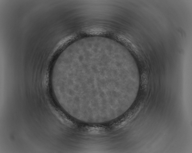 X0000111800400200908201158