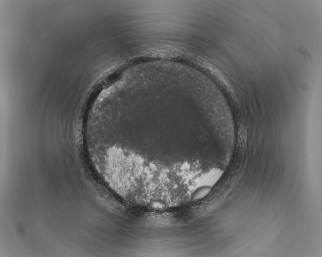 X0000111800403200908201157